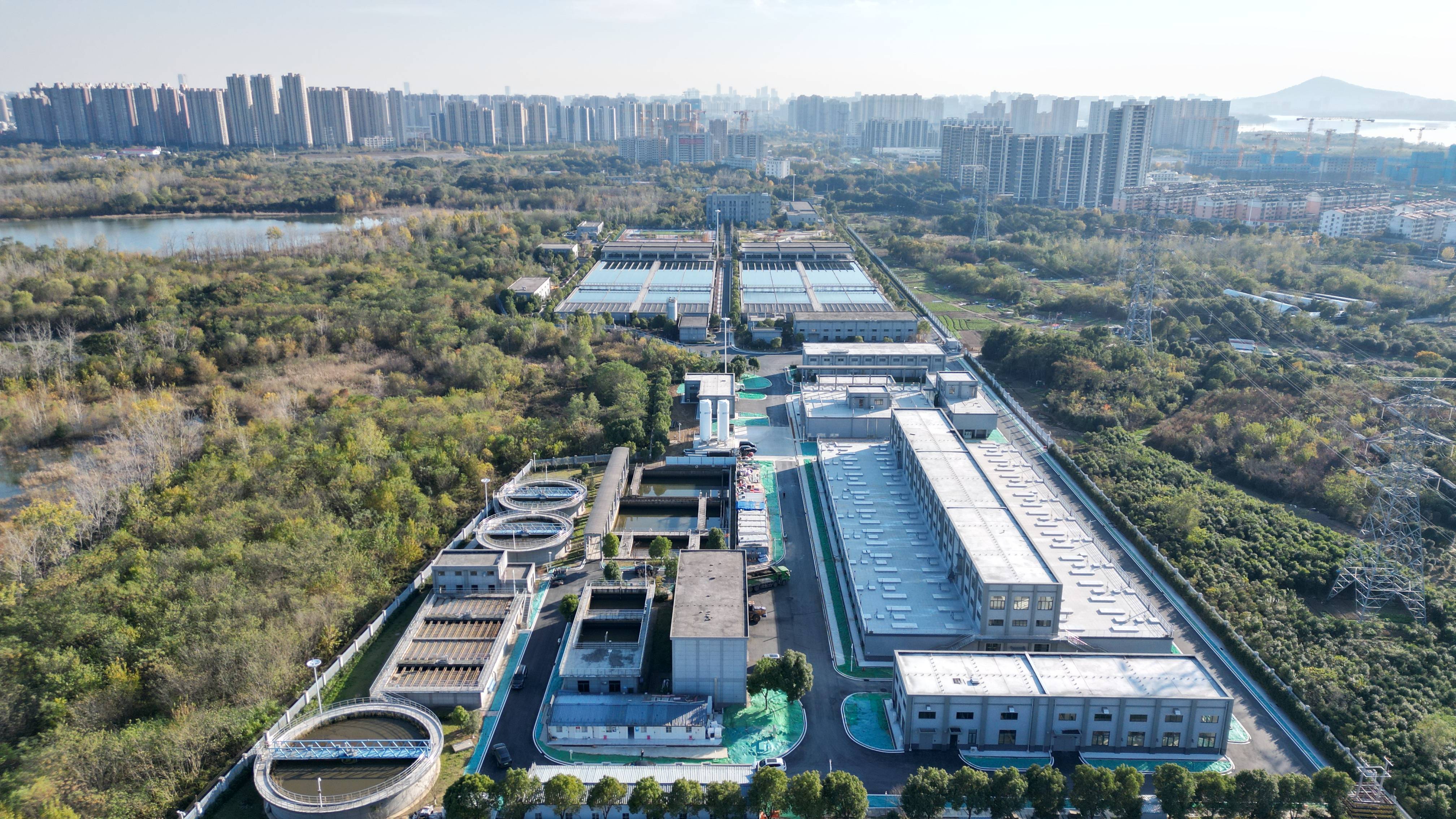 山南市合肥专业企业价值增长(合肥市重点企业产业目录)