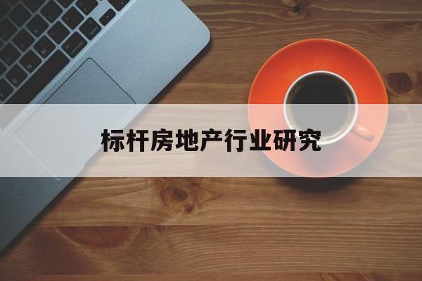 山南市标杆房地产行业研究(房地产领域的标杆人物)