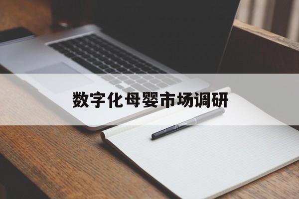 山南市数字化母婴市场调研(数字化母婴市场调研报告)