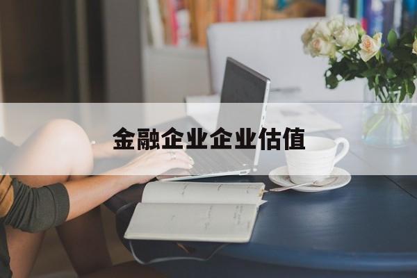 山南市金融企业企业估值(最新企业估值怎么填)